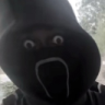 Krashemm